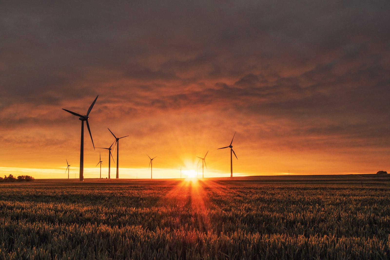Wind turbines at sunrise